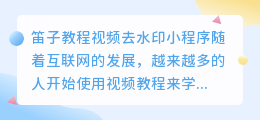 笛子教程视频去水印小程序