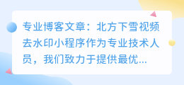 北方下雪视频去水印小程序