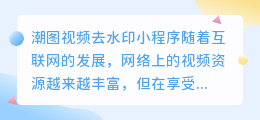 潮图视频去水印小程序
