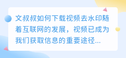 文叔叔怎么下载视频去水印