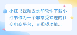 小荭薯视频去水印软件下载