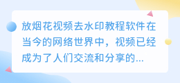 放烟花视频去水印教程软件