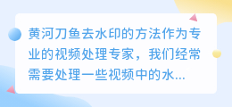 黄河刀鱼怎么去水印视频