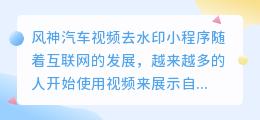 风神汽车视频去水印小程序