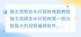猫王视频去水印剪映电脑