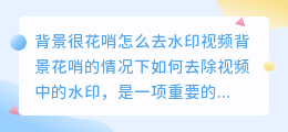 背景很花哨怎么去水印视频