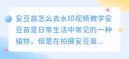 安豆苗怎么去水印视频教学