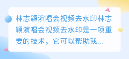 林志颖演唱会视频去水印