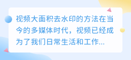 视频怎么大面积去水印