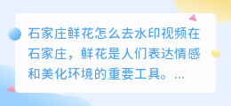 石家庄鲜花怎么去水印视频