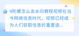 9陀螺怎么去水印教程视频
