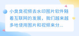 小臭臭视频去水印图片软件