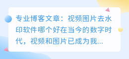 视频图片去水印软件那个好