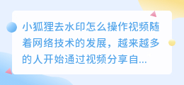 小狐狸去水印怎么操作视频