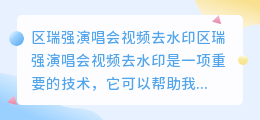 区瑞强演唱会视频去水印