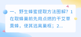 野生蜂蜜提取方法图解?