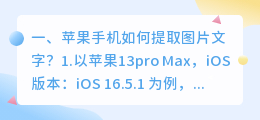苹果手机如何提取图片文字?