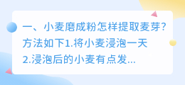 小麦磨成粉怎样提取麦芽?