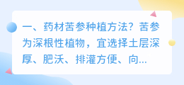 药材苦参种植方法?