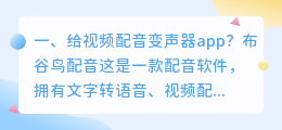 A5工具配音app转换
