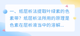 纸层析法提取叶绿素的色素带?