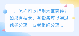 怎样可以得到木耳菌种?