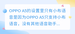A5工具配音软件免费吗