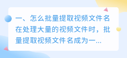 怎么批量提取视频文件名