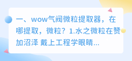 wow气阀微粒提取器,在哪提取,微粒?