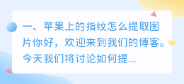 苹果上的指纹怎么提取图片
