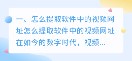 怎么提取软件中的视频网址