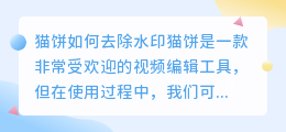 猫饼怎么去水印