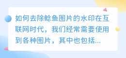 个鲶鱼怎么去水印