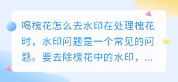 喝槐花怎么去水印