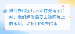 怎么用pr怎么去水印