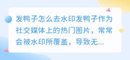 发鸭子怎么去水印