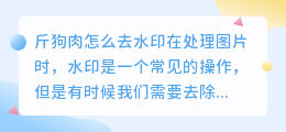 斤狗肉怎么去水印