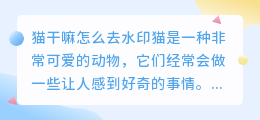 猫干嘛怎么去水印