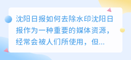 沈阳日报怎么去水印