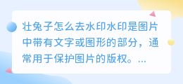 壮兔子怎么去水印