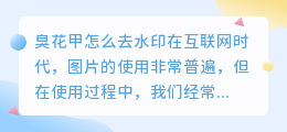 臭花甲怎么去水印