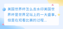 美国世界杯怎么去水印