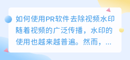 怎么用pr去视频水印