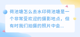 荷池塘怎么去水印