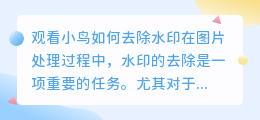 观看小鸟怎么去水印