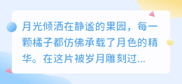 古法传承,橘子精油诠释岁月匠心,自然馈赠滋养身心