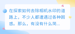 想知道怎样轻松去除相机水印吗?这些实用方法让你告别水印烦恼!