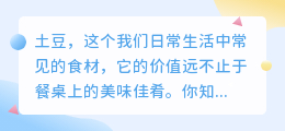 土豆淀粉:古人智慧与现代科技的结晶,揭秘提取技艺与广泛用途