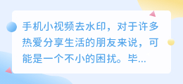 手机小视频去水印技巧大揭秘:轻松提升分享美感,合法合规不侵权!