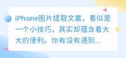 🔥iPhone秒变扫描仪!图片文案轻松提,省时省力更省心!